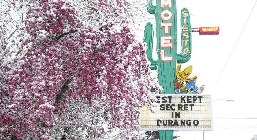 The Siesta Motel photo