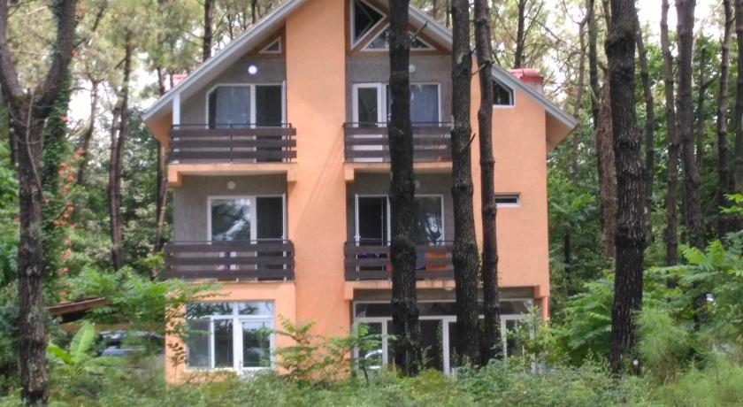 Villa Vachnadze — Hotel in Shekvetili