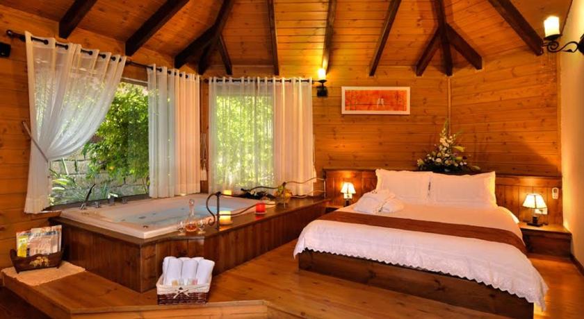 Talia Cabin Guest &amp; Spa — Hotel in Rosh Pina