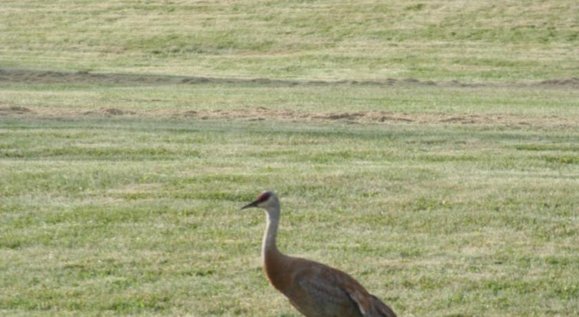 Ocean Shores Hotel photo