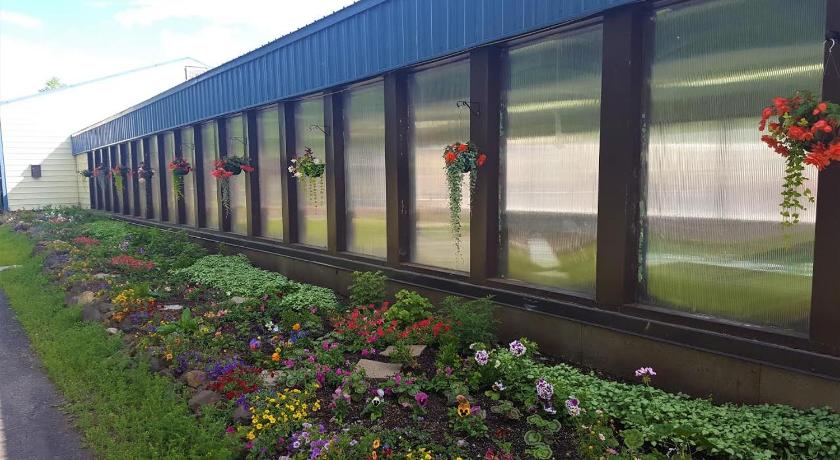 Chena Hot Springs Resort photo