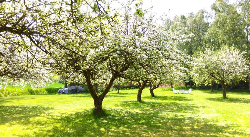 Minnesberg B&B photo