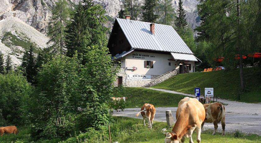 PLANINSKA KOCA NA GOZDU photo