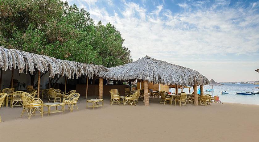 a beach area with chairs and umbrellas, Prima Life Makadi in Hurghada