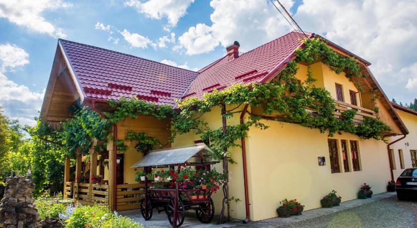 Casa Andreea — Hotel in Sucevita