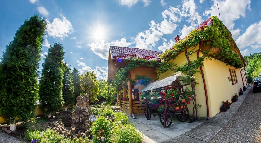 Casa Andreea photo