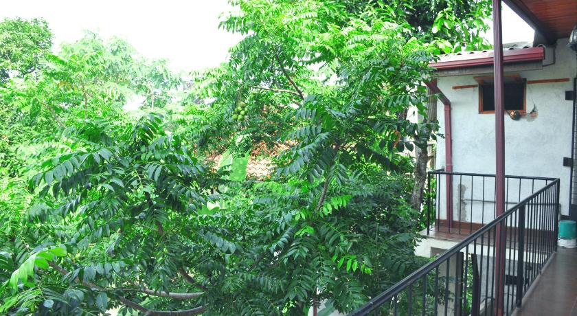 Ajanthas' Homestay photo