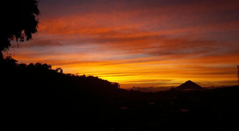 Bajawa-Roo Hotel — Hotel in Ende