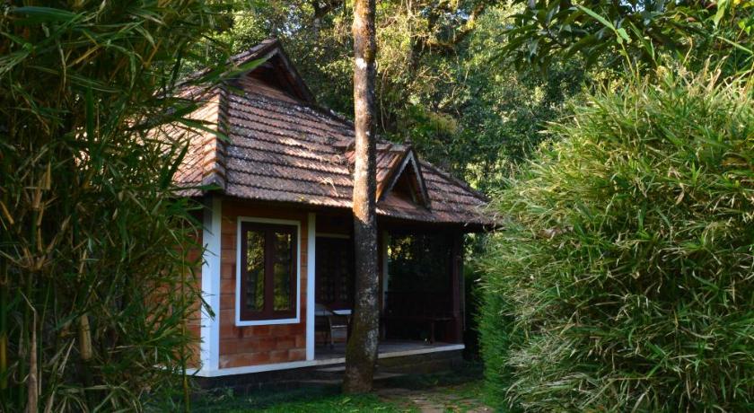 Misty Woods Resort photo
