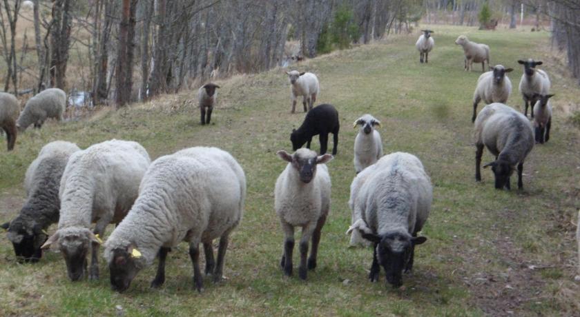 Viruna Farm photo
