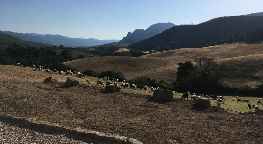 Ferme de Roccapina photo
