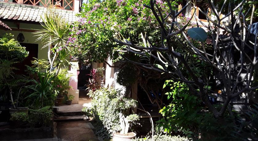 Blue Star Bungalows & Cafe photo