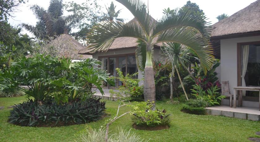 Suka's House Bed & Breakfast photo