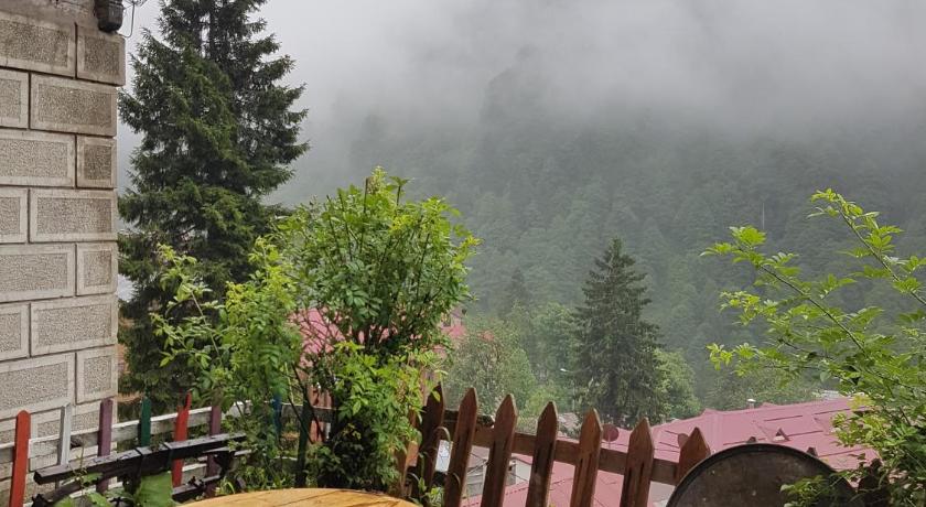 Fora Pension — Hotel in Rize