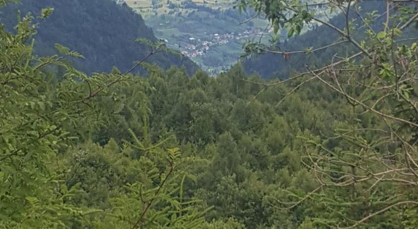 Casa din Piatra photo