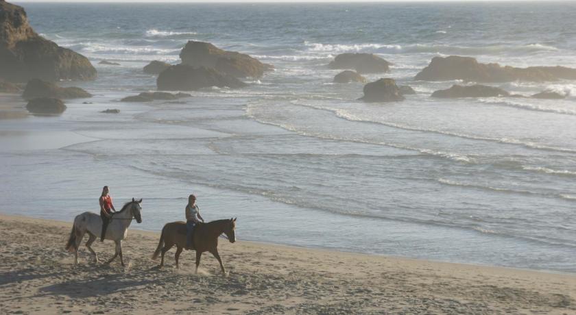 Surf and Sand Lodge