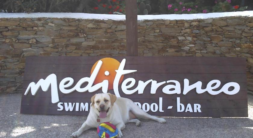 a dog sitting on a sidewalk next to a sign, Hotel Mediterraneo in Ios Chora