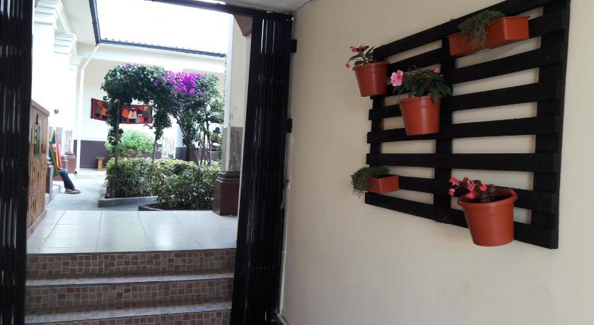 The Backpacker Hostal photo
