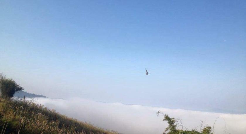 Thanorm Rak Resort photo