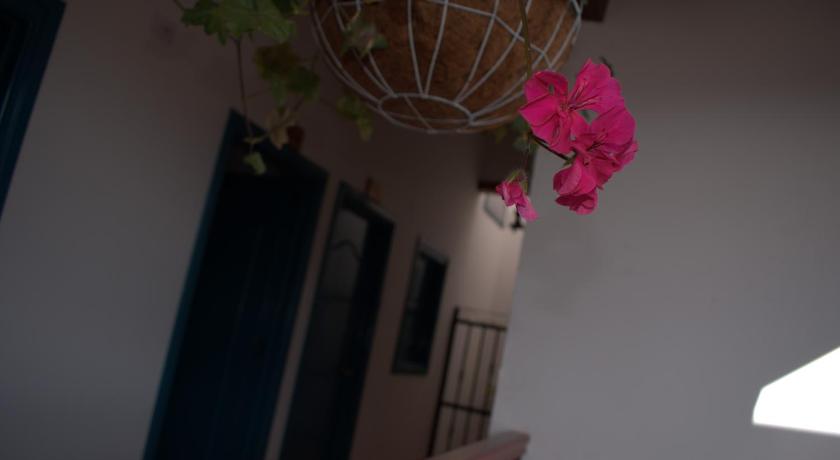 Hotel Casa Oasis photo