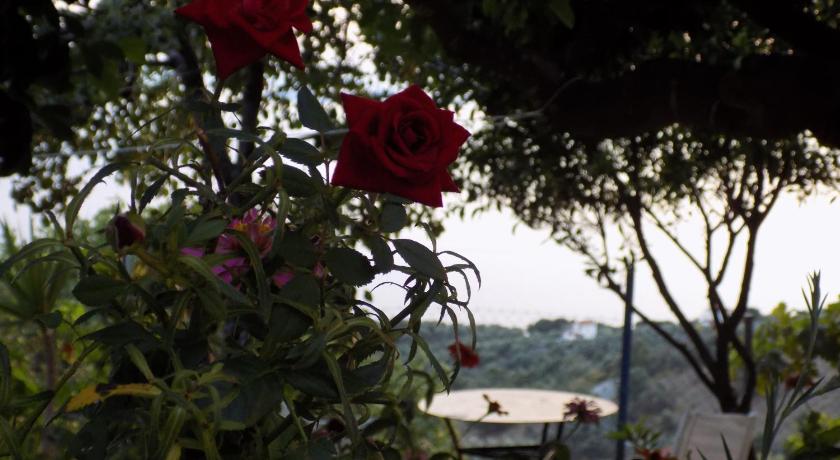 Angelinas House — Hotel in Skiathos Island