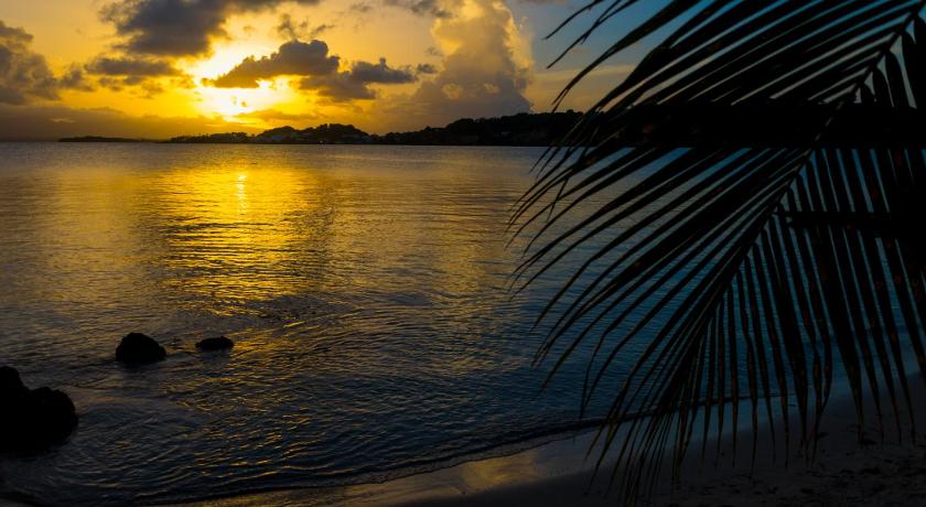 Image de Offre Lune de Miel (Honeymoon Offer) 4