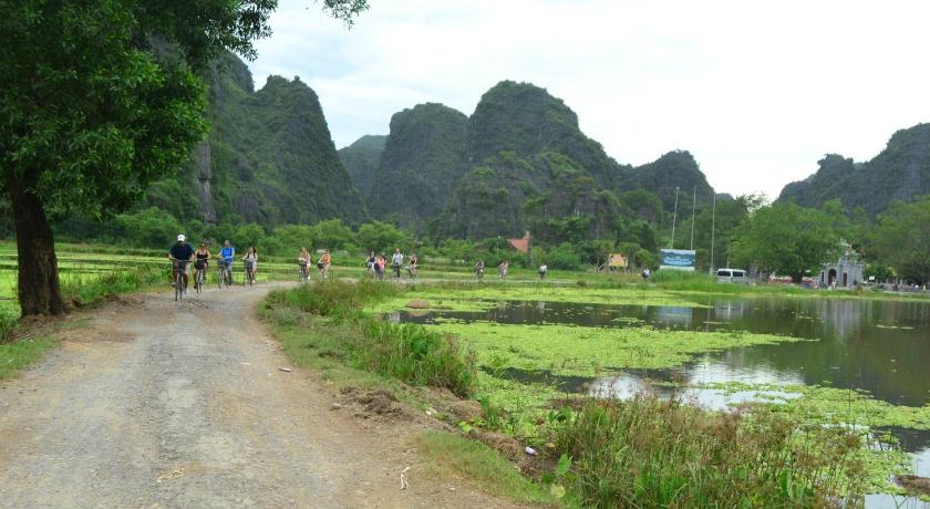 a herd of animals walking down a dirt road, Tam Coc Smile Homestay in Ninh Bình
