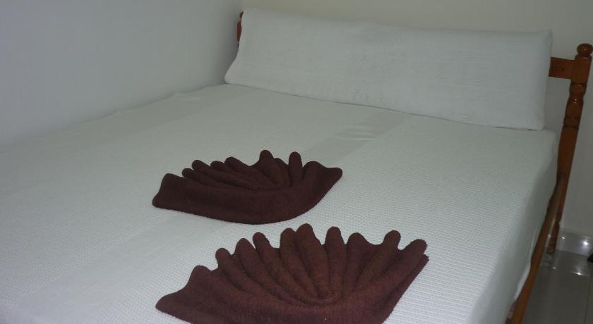 Hotel Paka INN photo