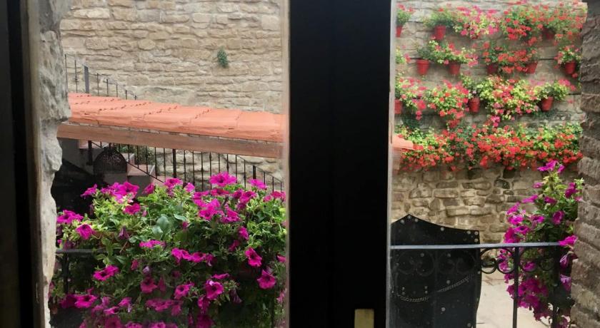 Hostal Rural La Pata de Oca photo