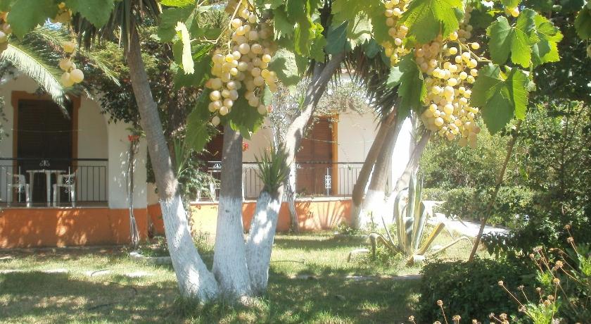 Studios Dimitris — Hotel in Skiathos Island