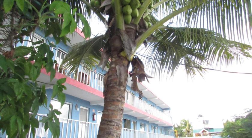 Blue Coconut Cancun Hotel