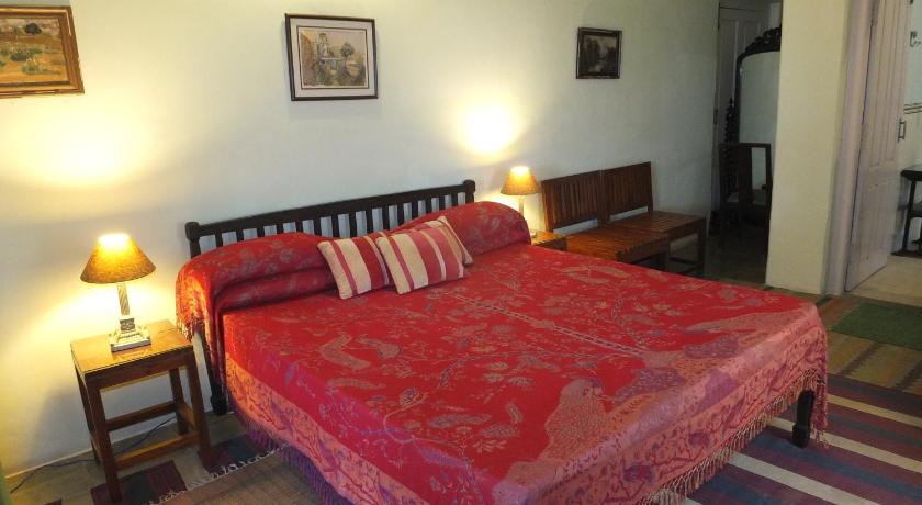 Hotel Udai Bilas Palace-Dungarpur photo