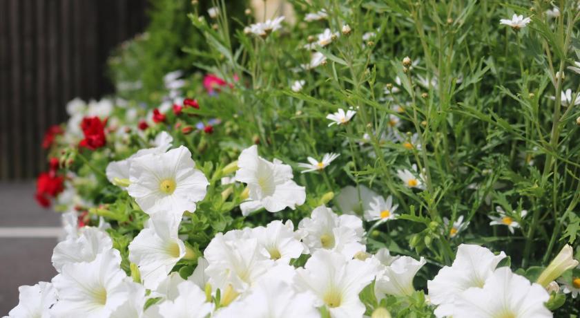 King william inn - image 9