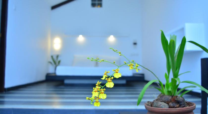 Midigama Holiday Inn — Hotel in Mirissa