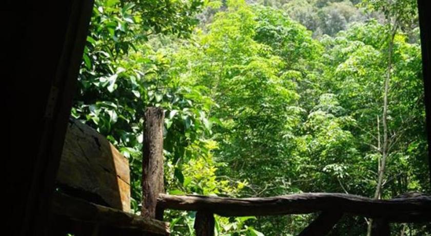 Image of Bungalow with Garden View 4