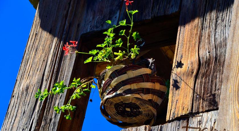 Kalinia Guesthouse B&B photo