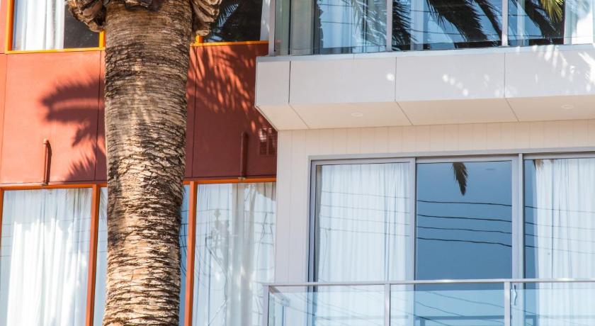 The Palms Apartments - image 15