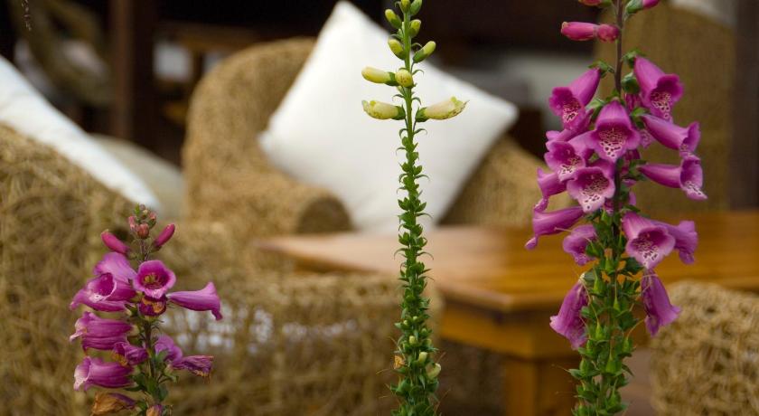 Flower Free花自在 photo