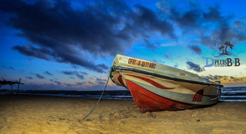 D Plus B&B Negombo photo