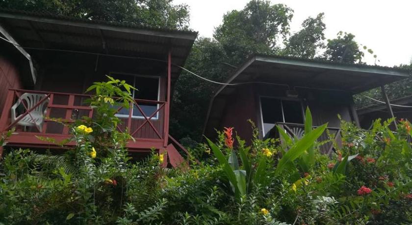 a garden with plants and a house, Simukut Place in Tioman Island
