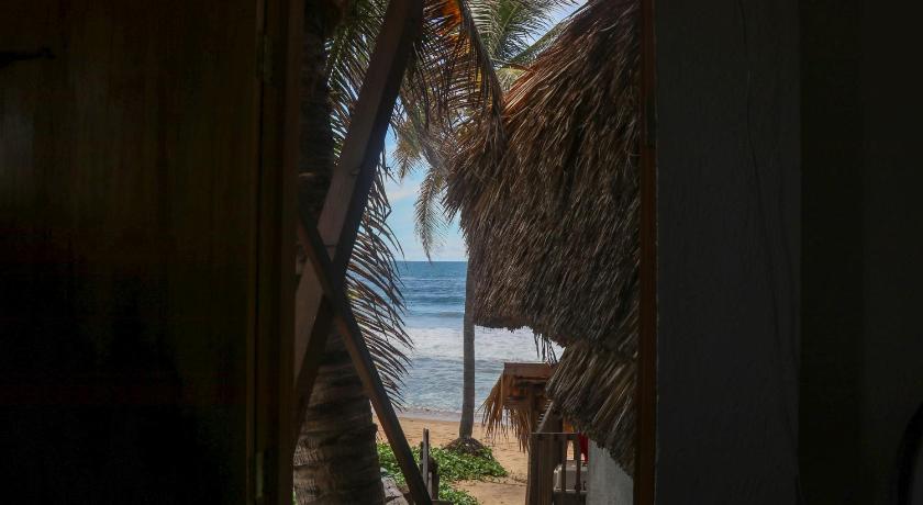 Cafe Maya - Casa Acalli photo