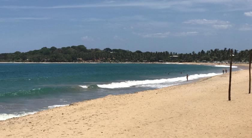 Nice Place Beach Hotel photo