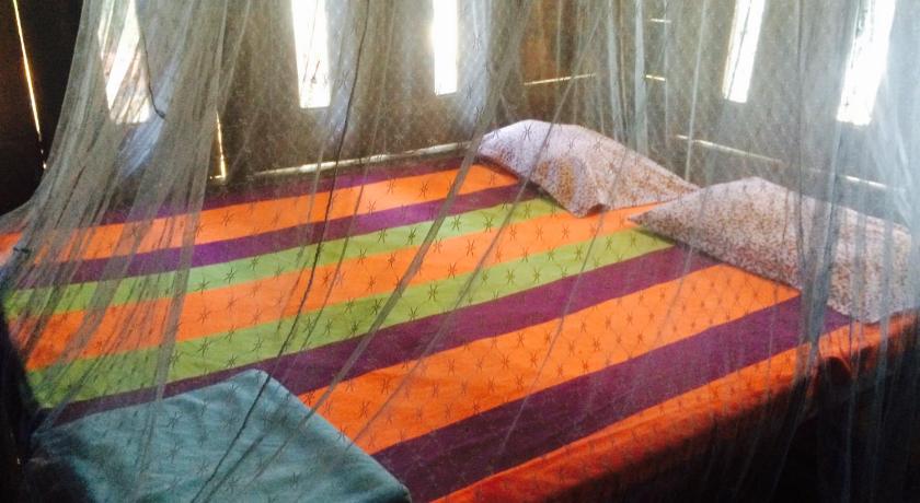 Image of Double Room in Tree House With Sea View 0