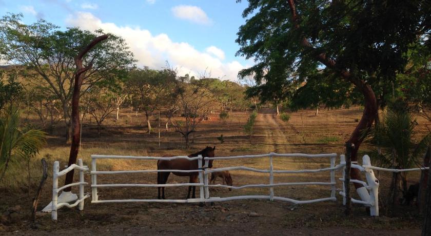 Tierra Alta Ecolodge photo