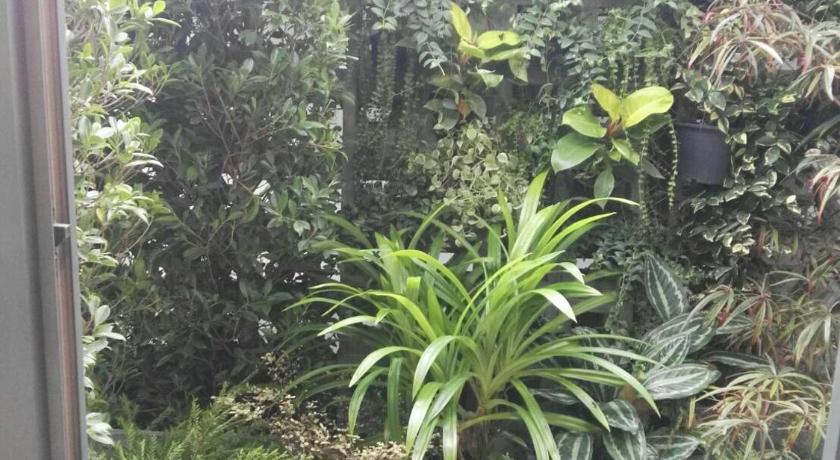 18 In Town Homestay photo