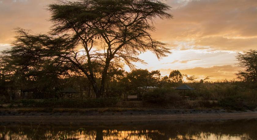 Ziwa Bush Lodge photo