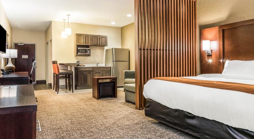 Comfort Suites Florence - Cincinnati South photo