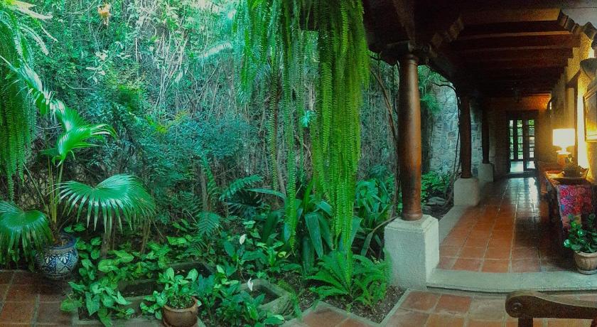 Cissus Hotel Boutique photo
