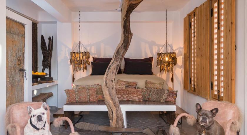 Image of King Suite with Ocean View 3