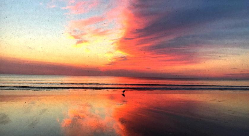 steps to the dunes &amp; NANTASKET BEACH — Hotel in Hull (MA)